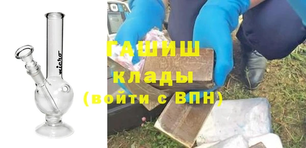 ПСИЛОЦИБИНОВЫЕ ГРИБЫ Горно-Алтайск
