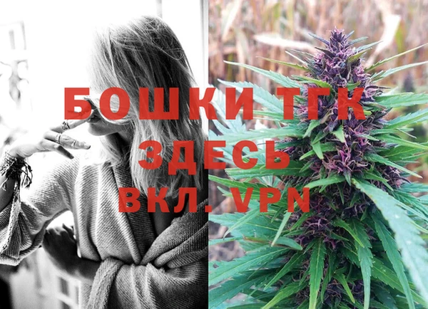 ALPHA-PVP Вяземский
