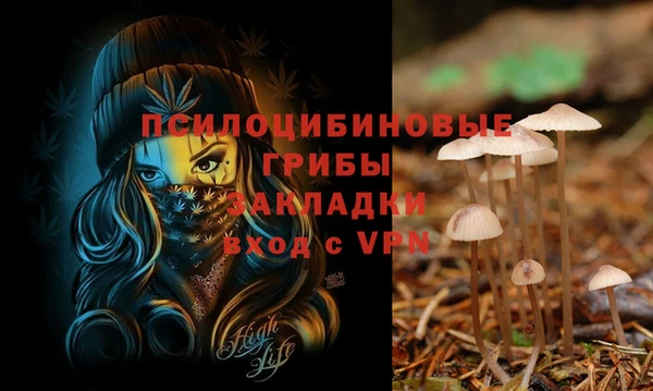 гидропоника Володарск